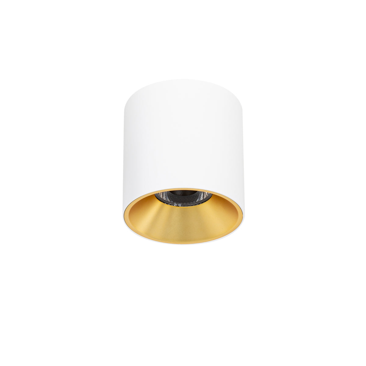 LED Surface Mounted Aluminium Light - WITHOUT LAMP - ROUND WHITE AND GOLD